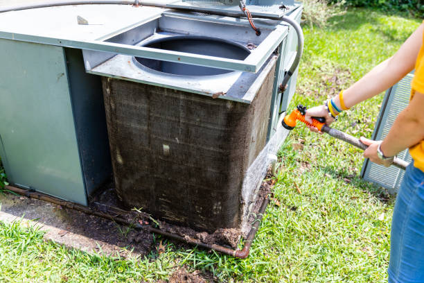 Best Air Duct Mold Removal  in Pennsboro, WV